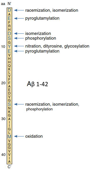 APP sites of post-translational modification