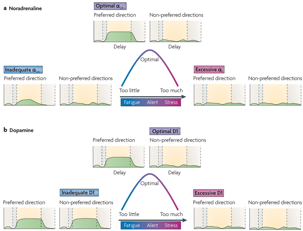 Stress vs. Non-stress in the PFC 2