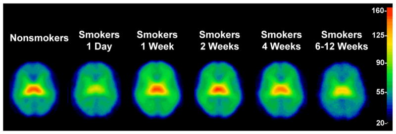 β2 expression in smoking cessation