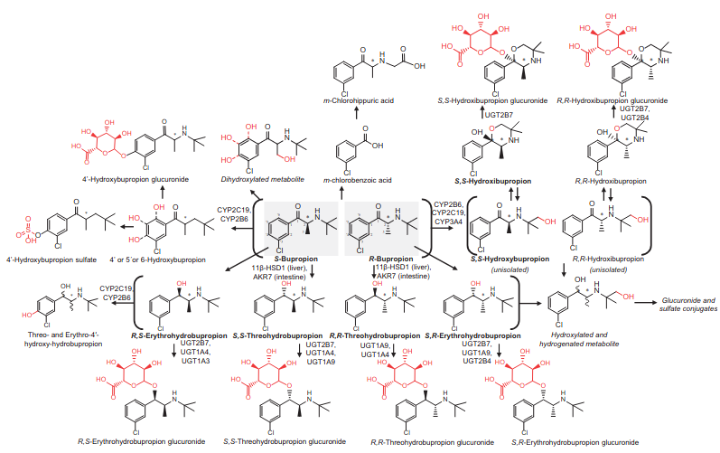 Bupropion metabolism