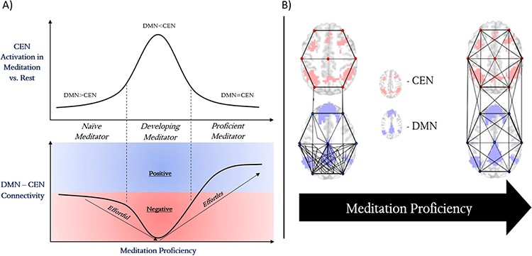 Default vs. Executive meditation proficiency