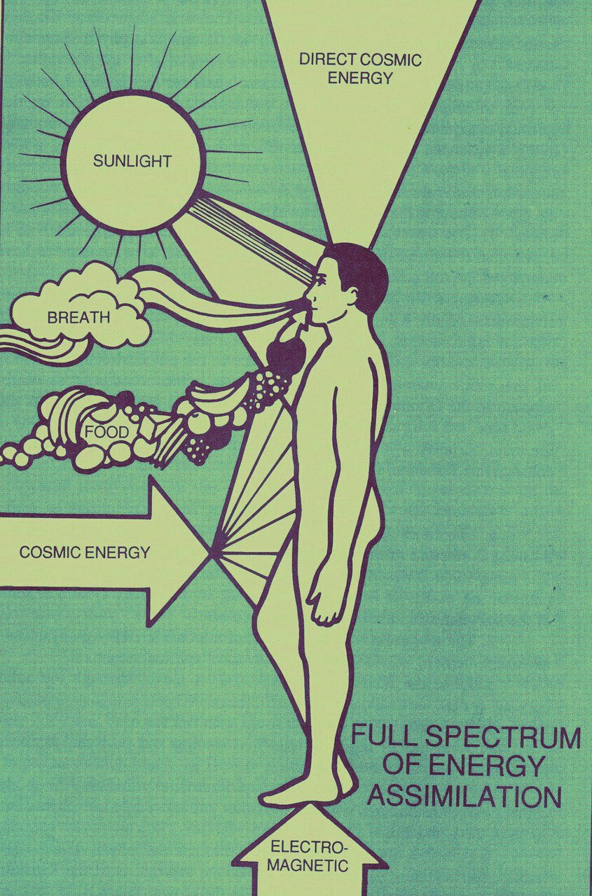 Energy Assimilation