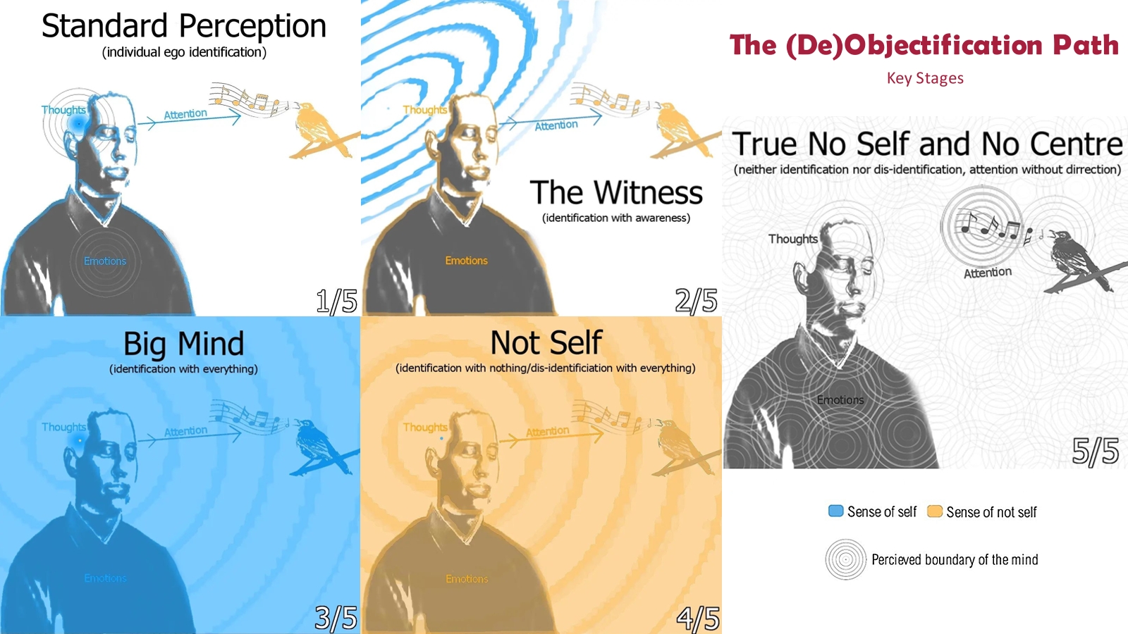 5 Stages of perception