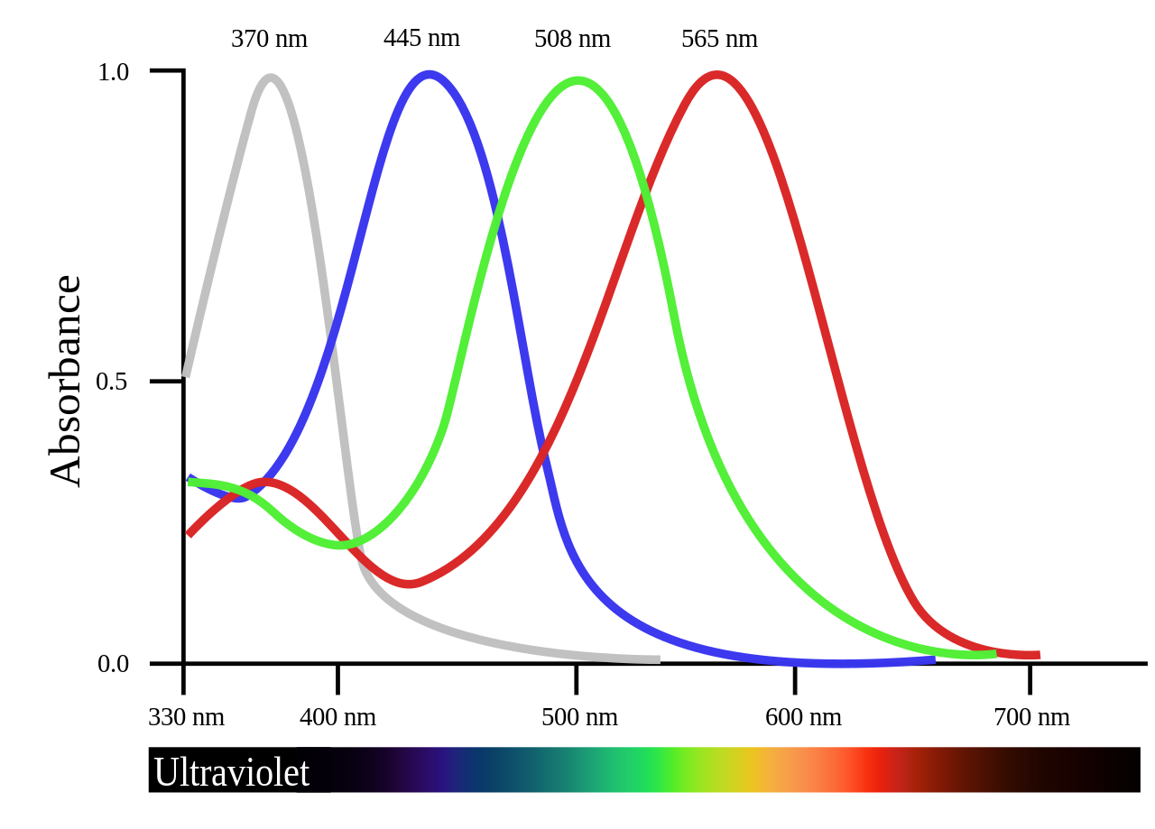 Finch tetrachromacy