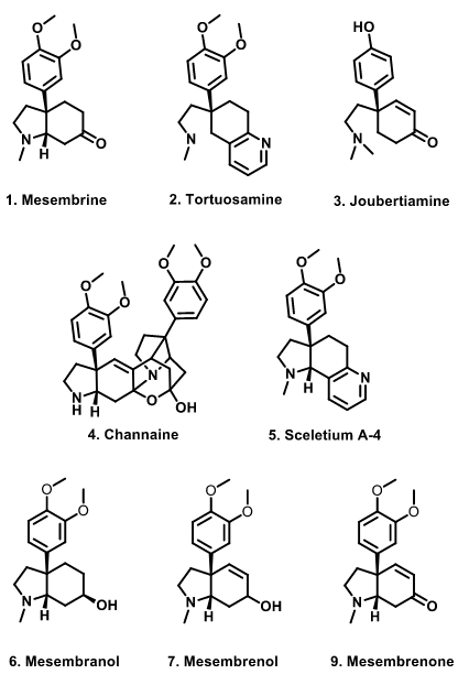 Kanna Alkaloids