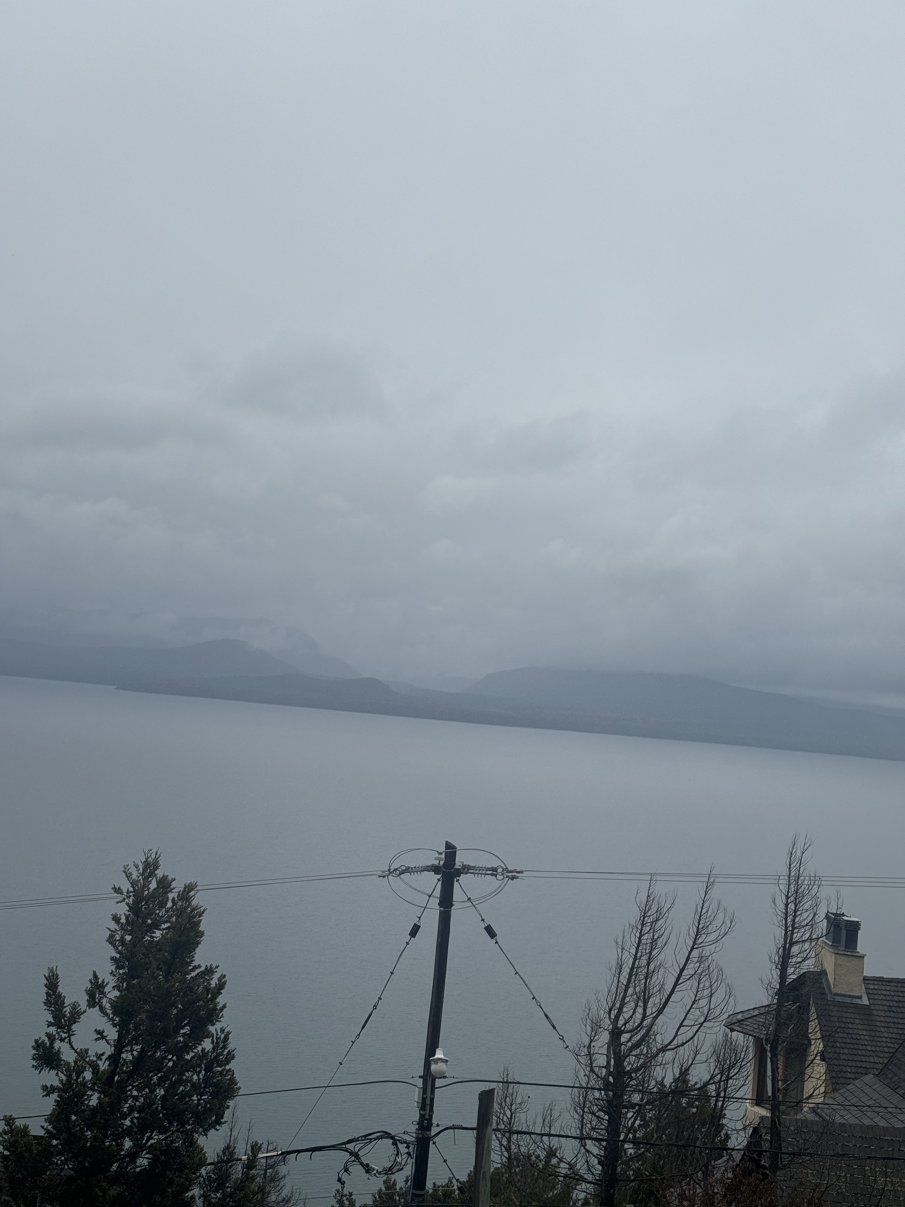 The Mist